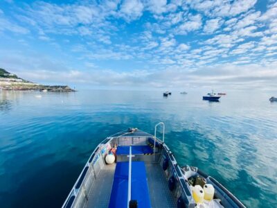 SeaMor Dolphin Watching Boat Trips