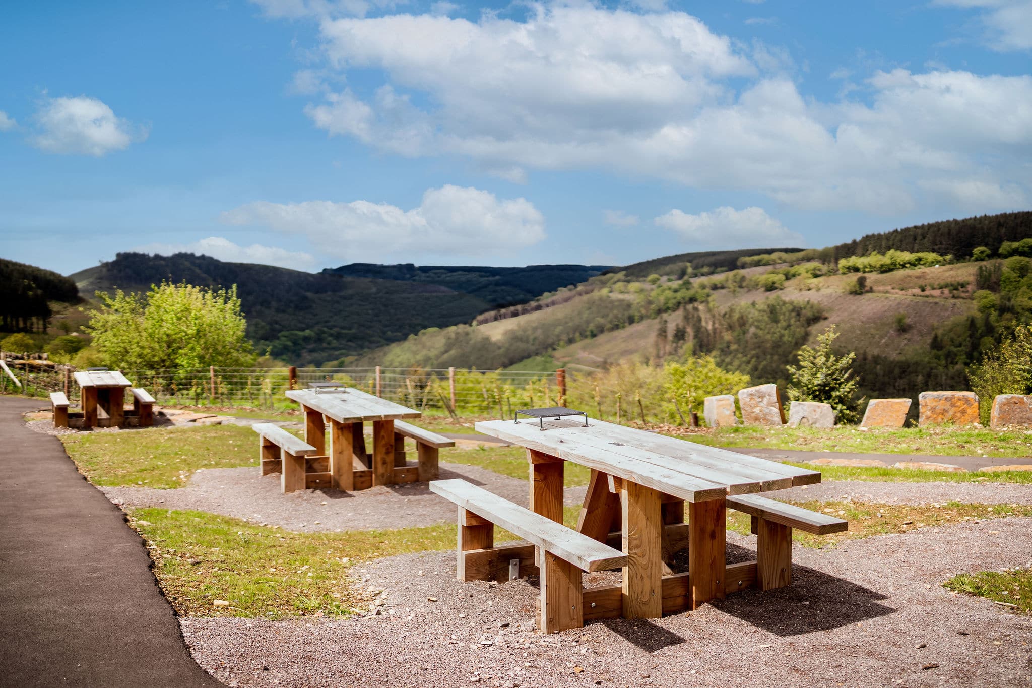 Cwmcarn Forest