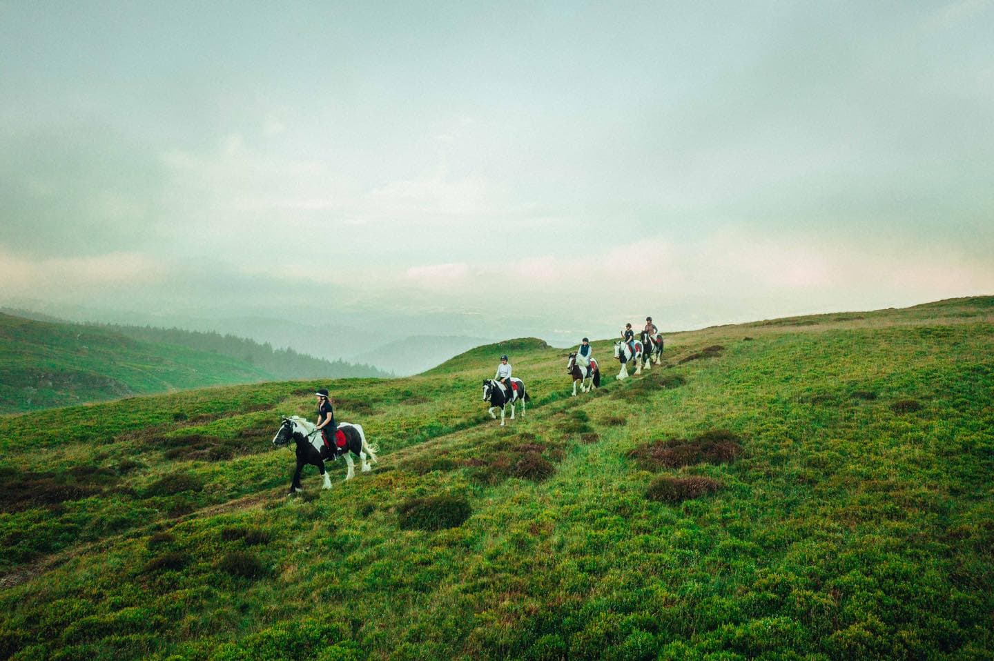 Lion Royal Pony Trekking Centre