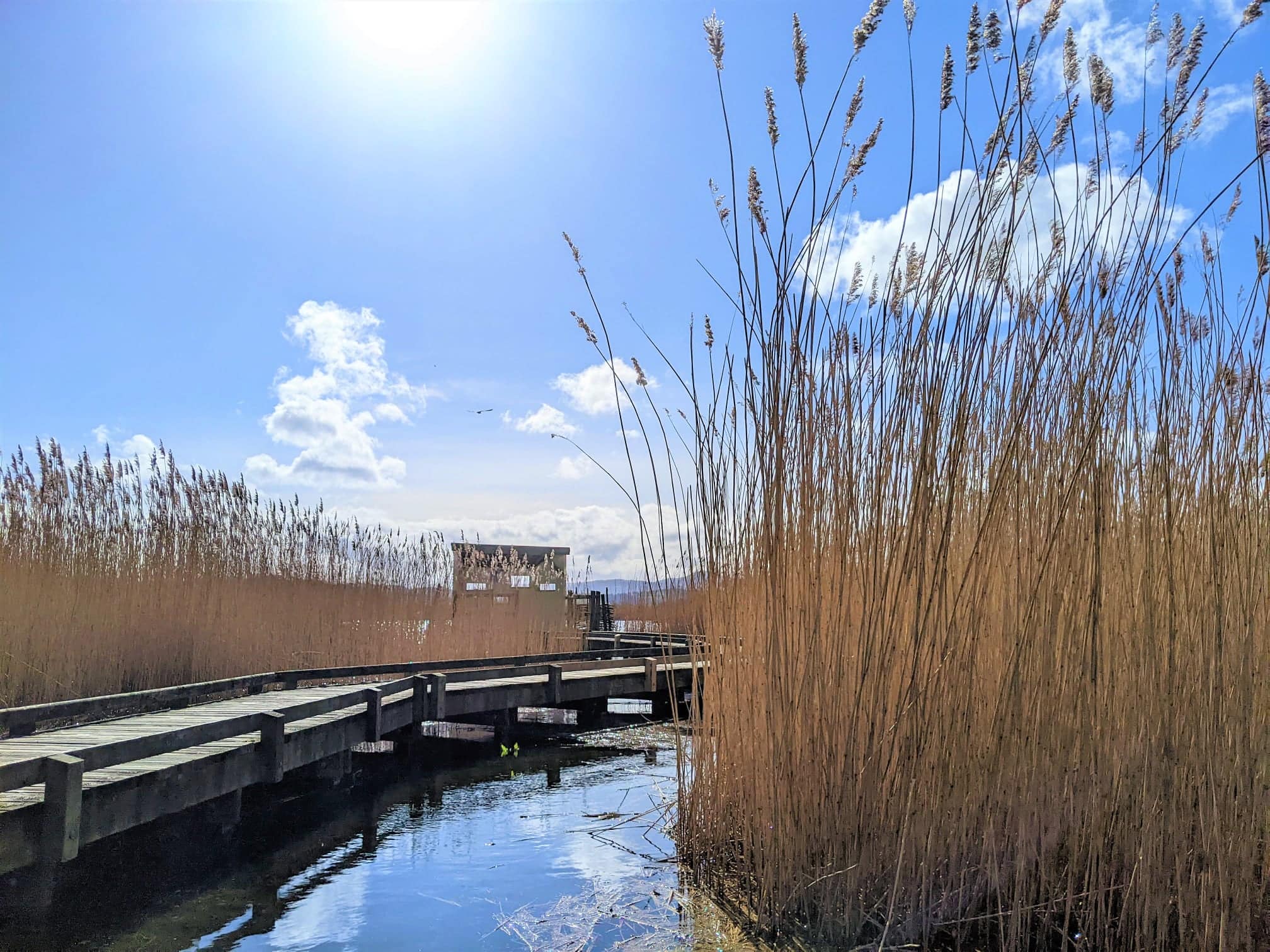 RSPB Conwy Nature Reserve