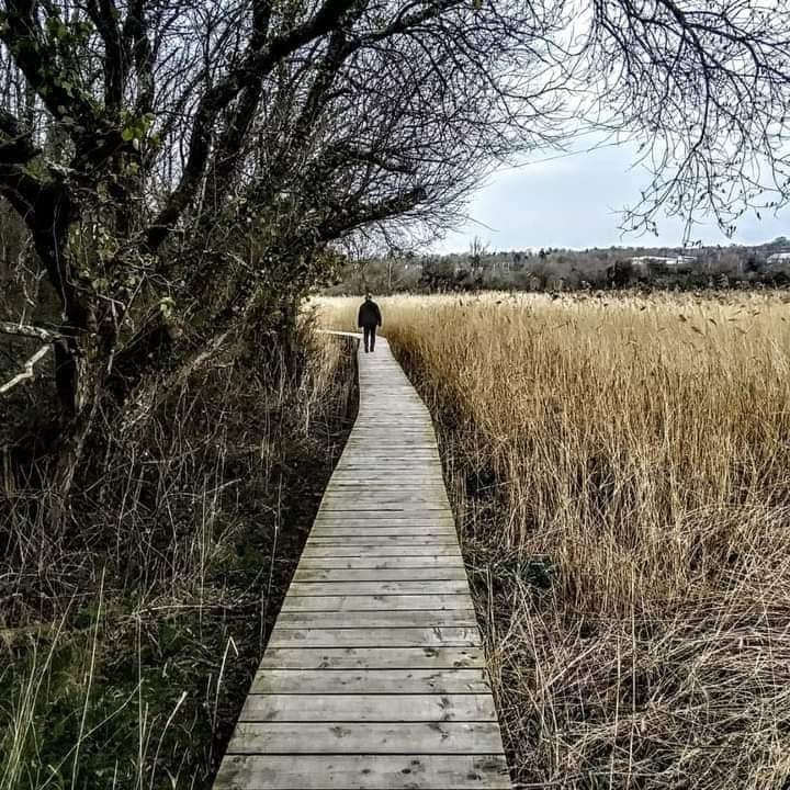 Welsh Wildlife Centre