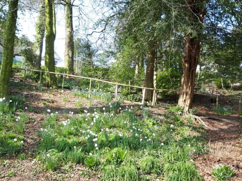 Singleton Park Swansea