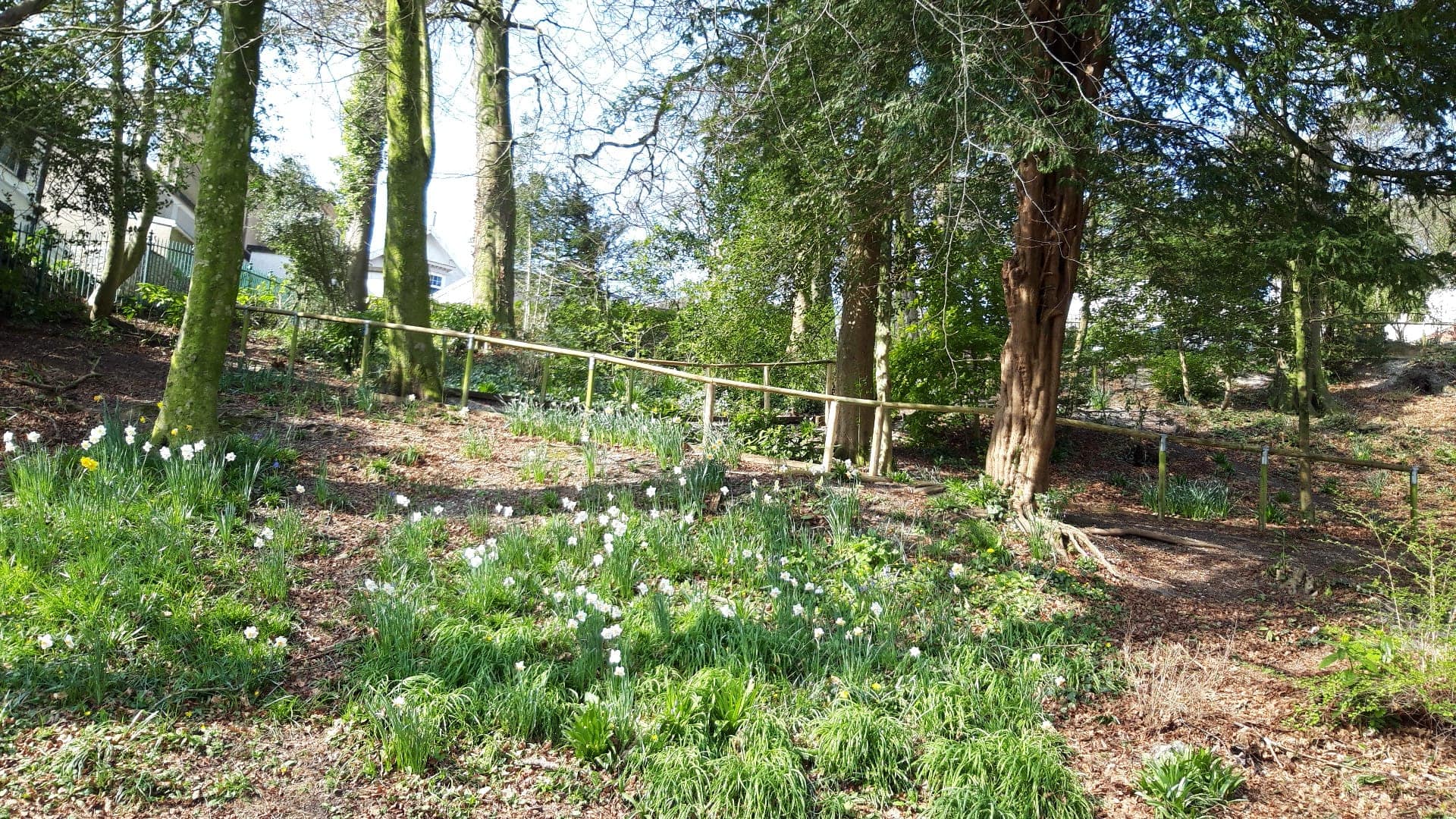 Singleton Park Swansea