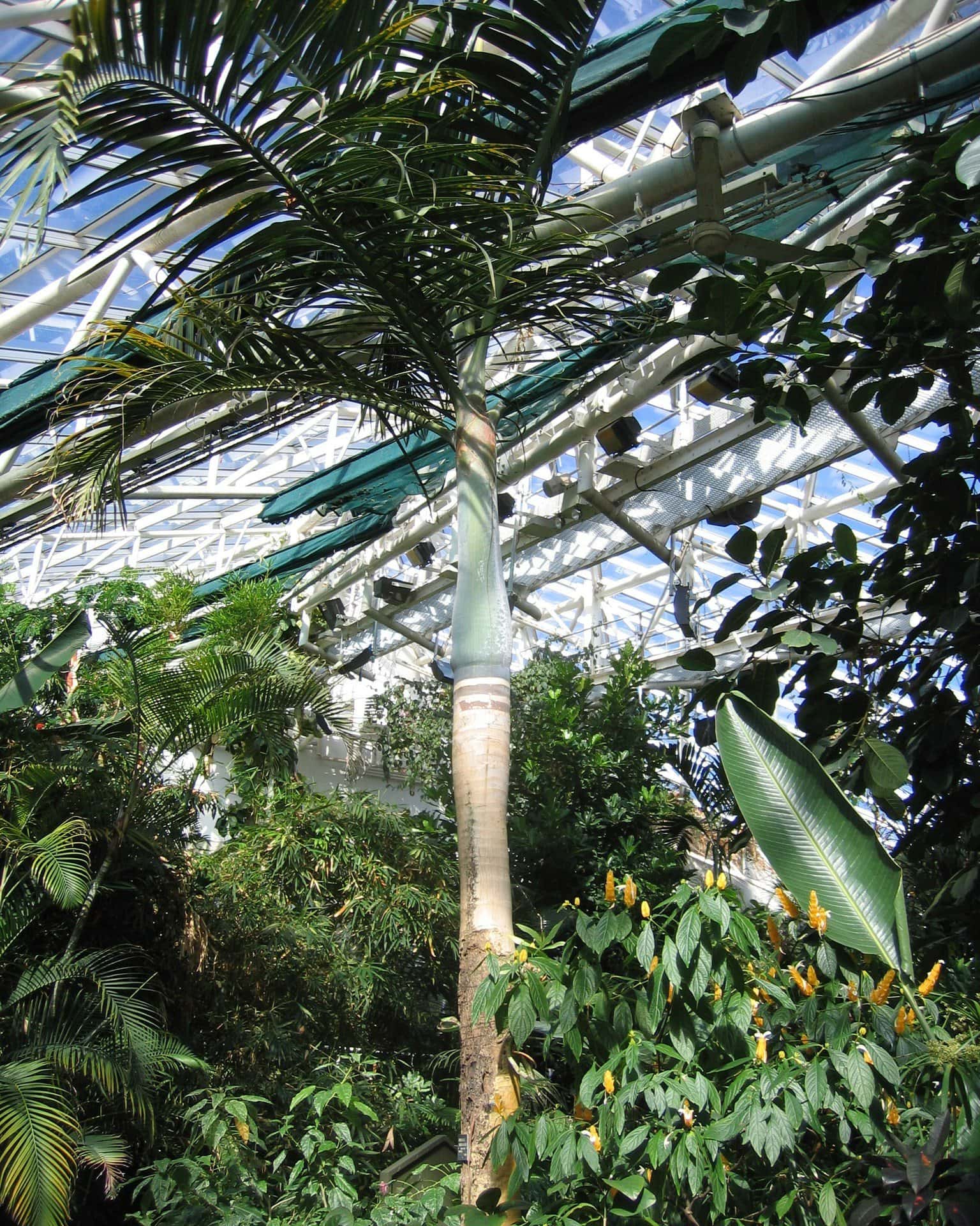 Plantasia Tropical Zoo