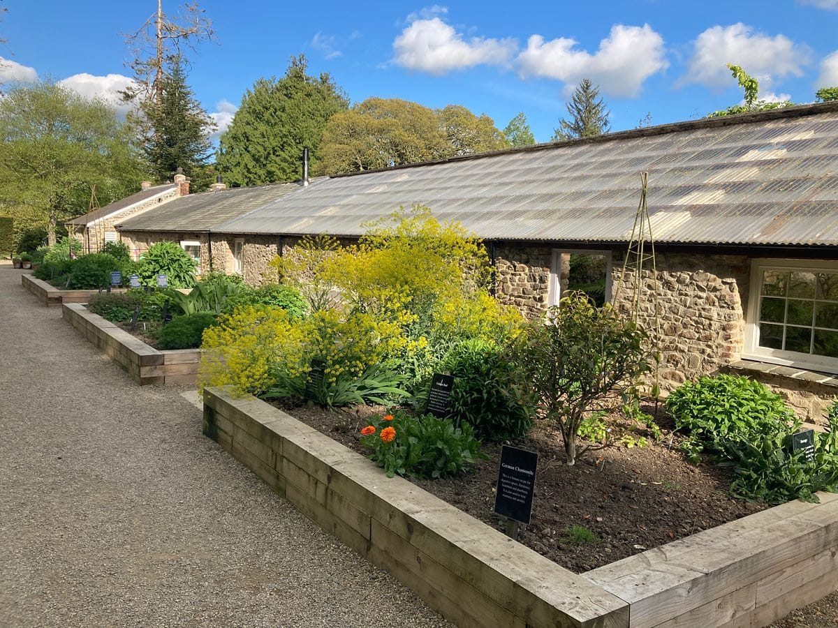 Picton Castle Gardens