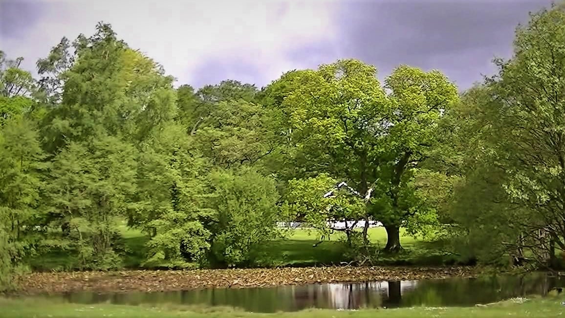 Singleton Park Swansea