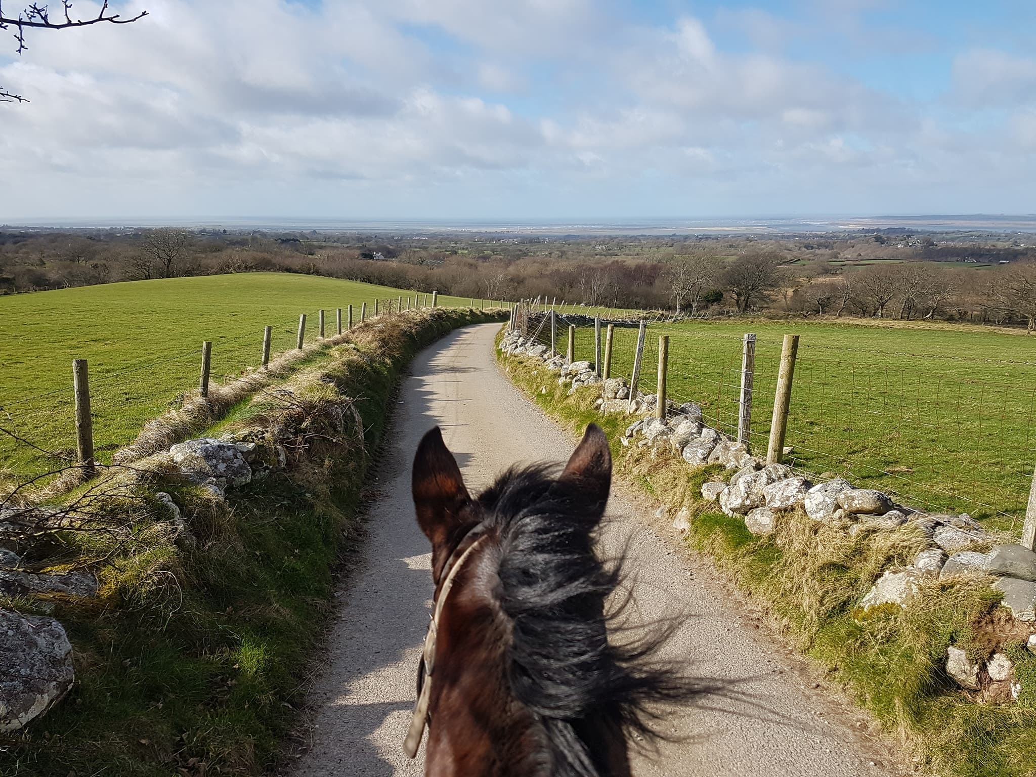 Snowdonia Riding Stables