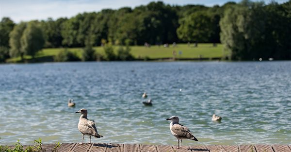 Cosmeston Lakes Country Park and Medieval Village