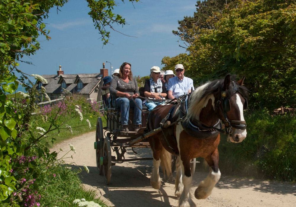 Sark Carriages