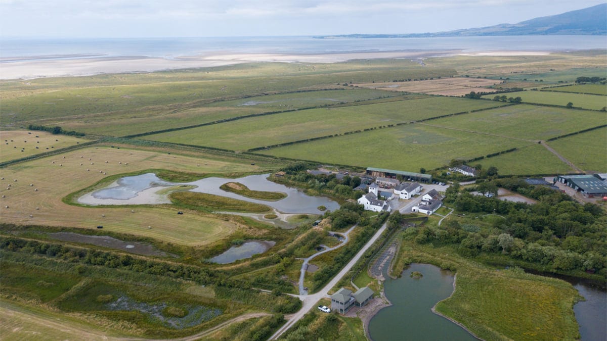 WWT Caerlaverock Wildlife Trust