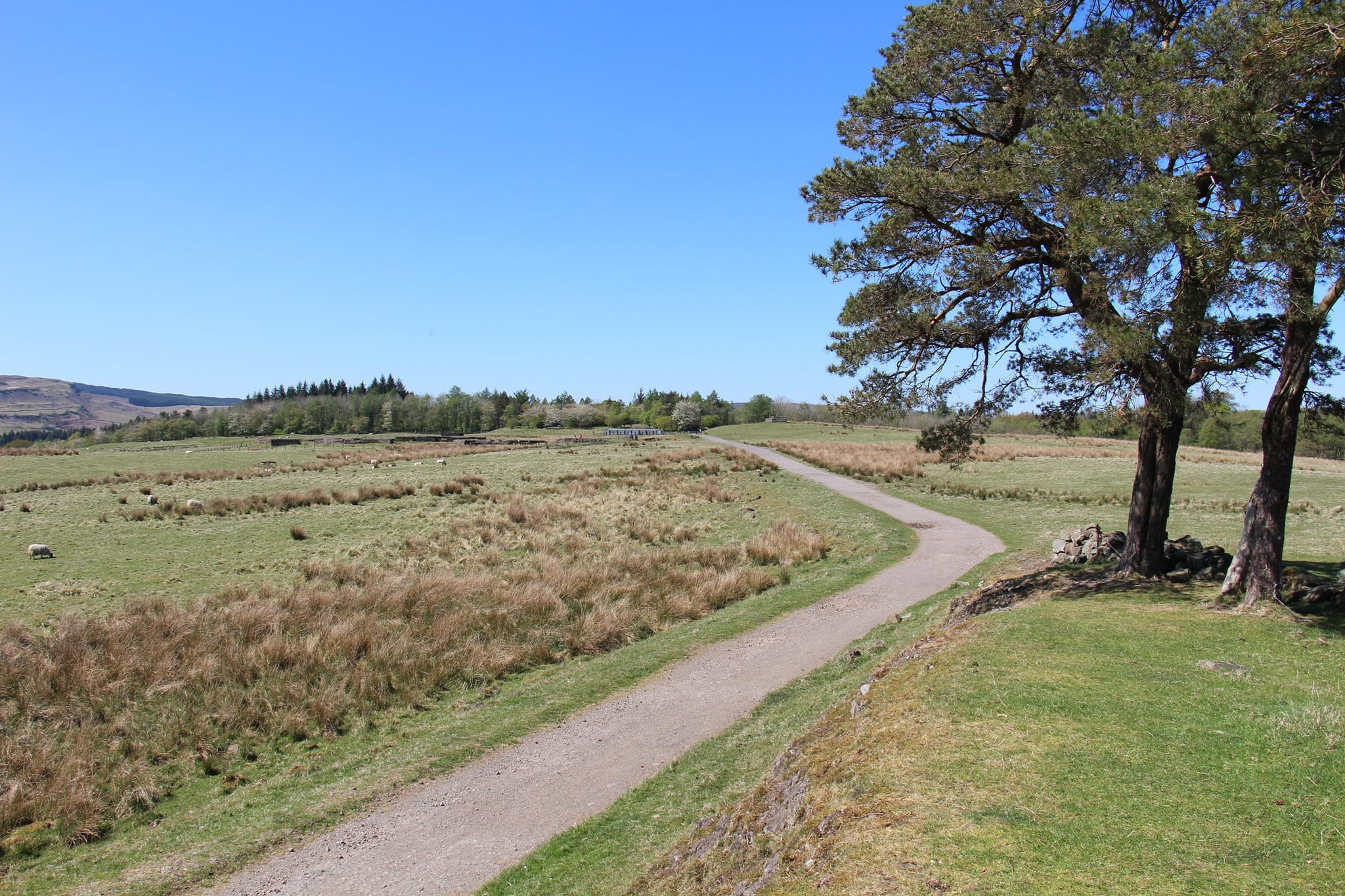 Mugdock Country Park