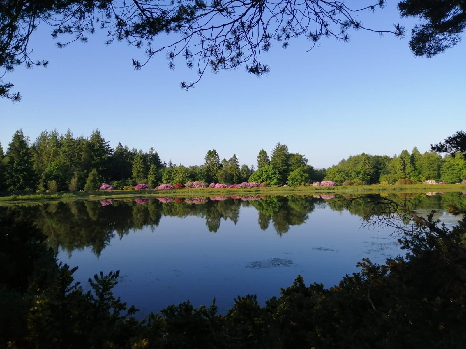 Monikie Country Park