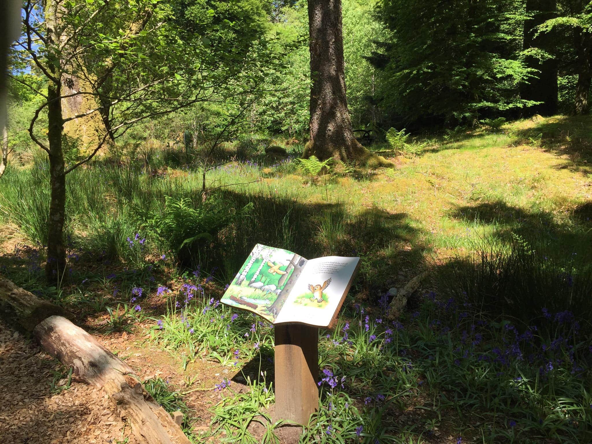 Ardkinglas Woodland Garden