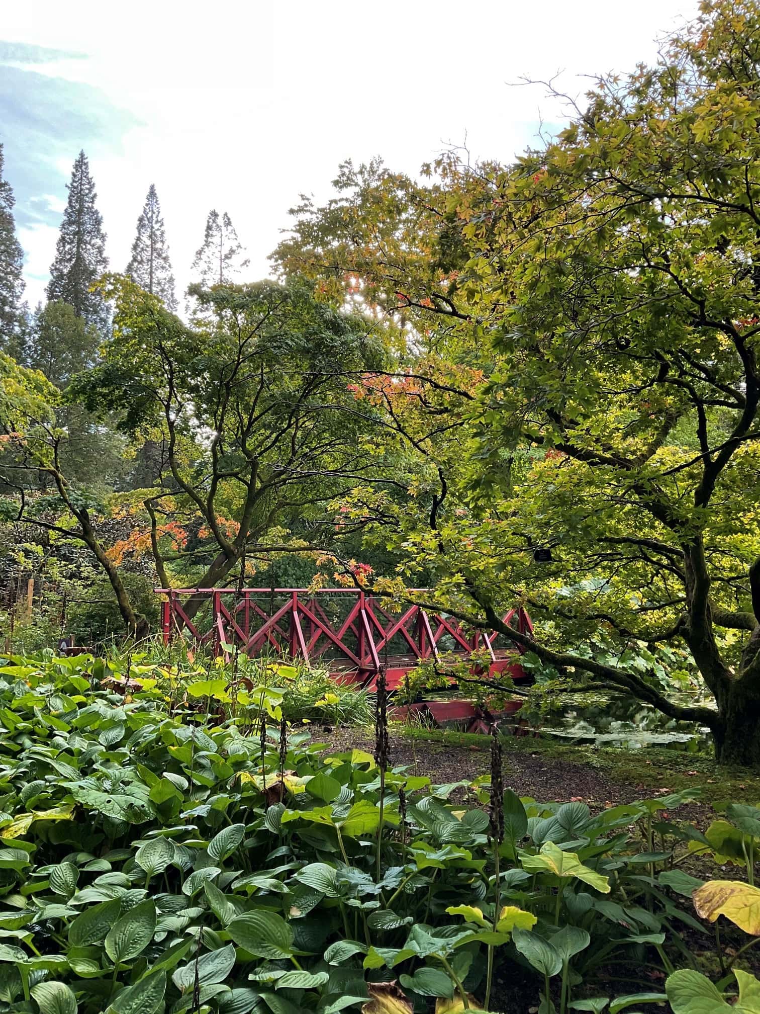 Benmore Botanic Garden