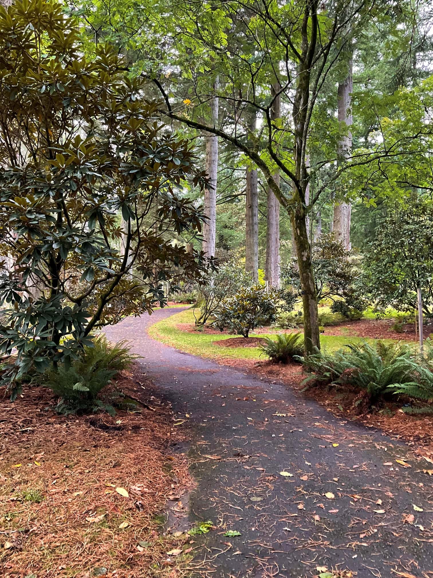 Benmore Botanic Garden