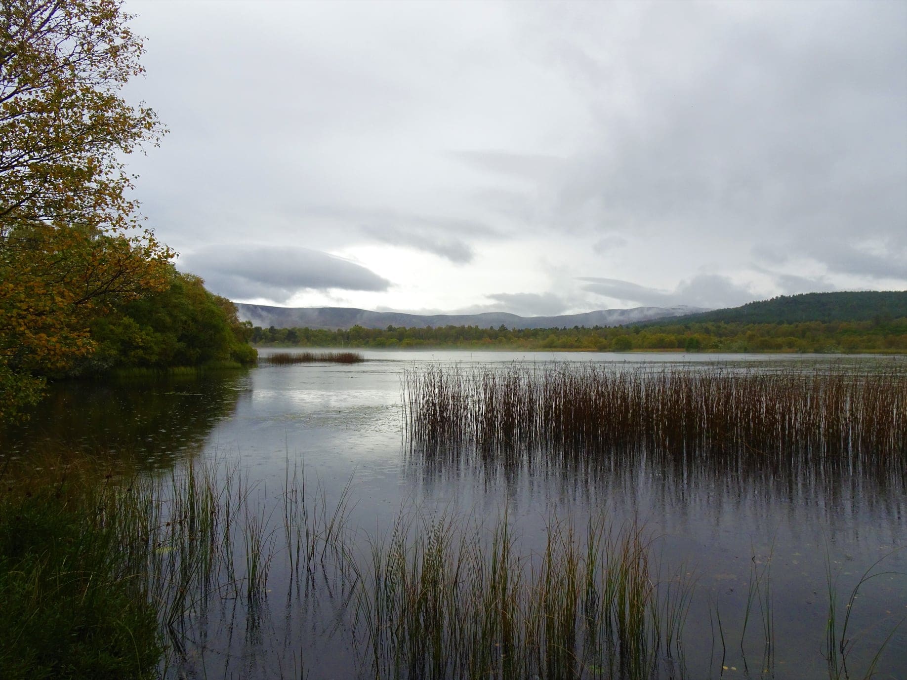 Muir of Dinnet National Nature Reserve