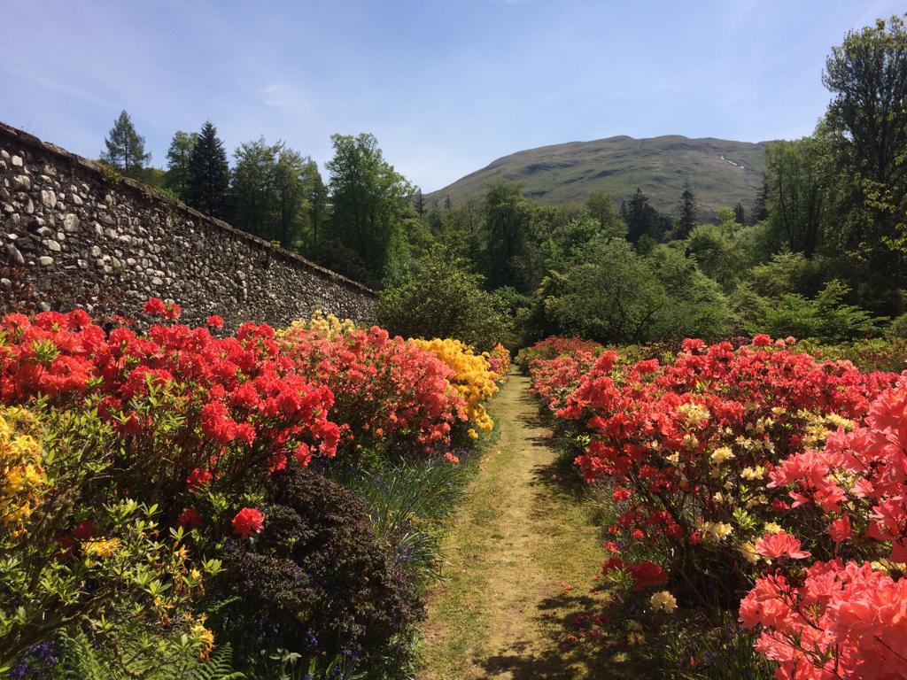 Ardkinglas Woodland Garden