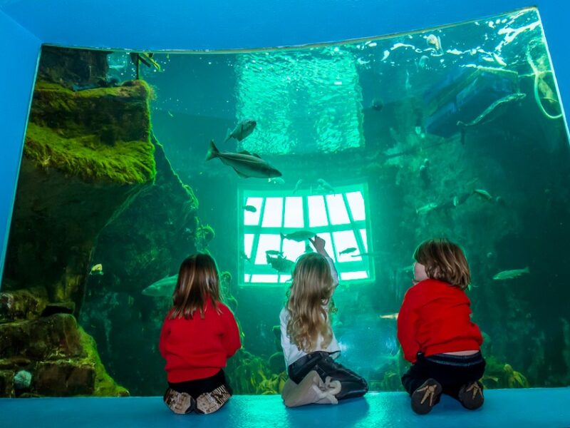 Macduff Marine Aquarium