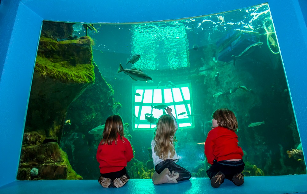 Macduff Marine aquarium,