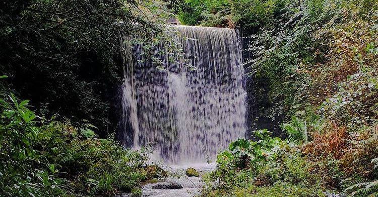 Finlaystone Country Park