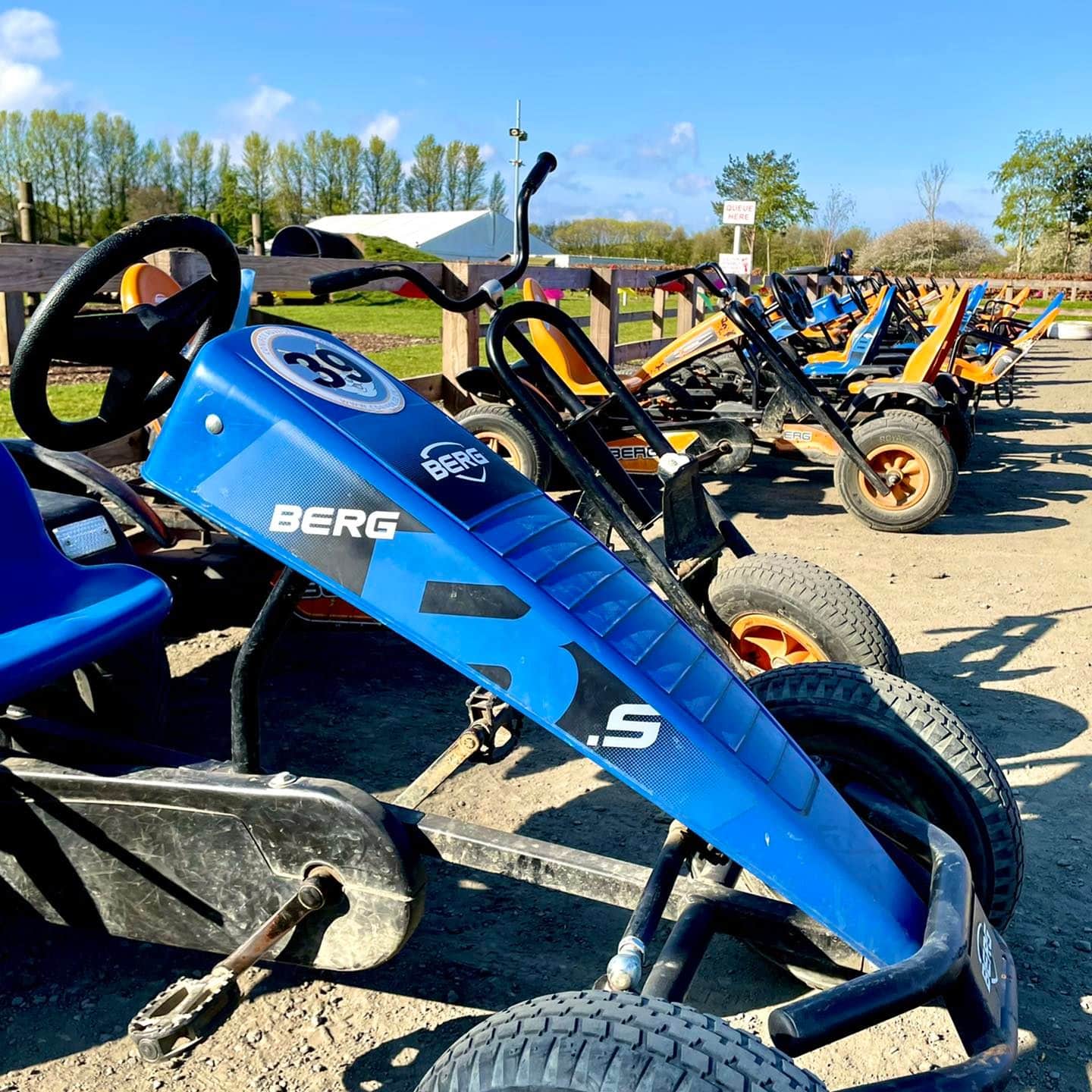 Conifox adventure Park