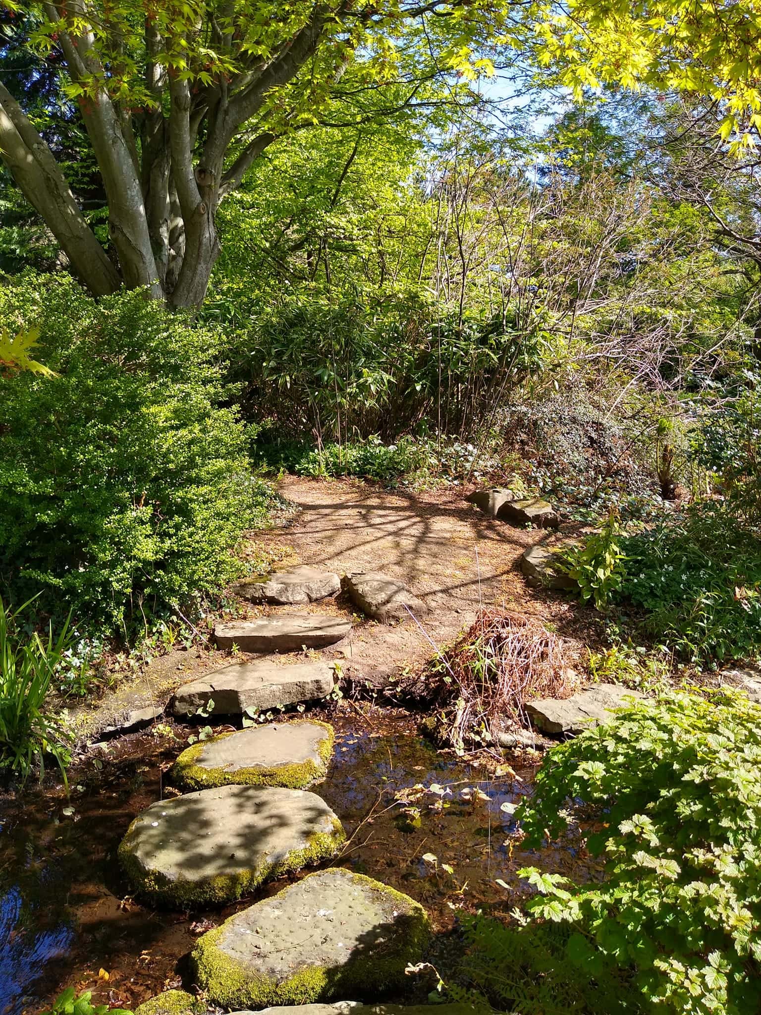 University of Dundee Botanic Garden