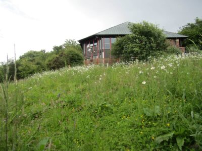 Montrose Basin Wildlife Reserve