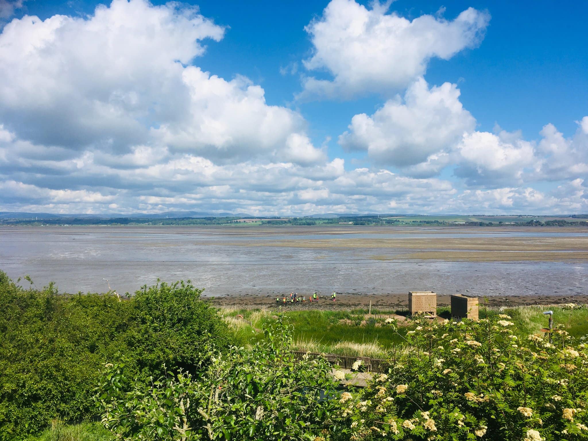 Montrose Basin Wildlife Reserve