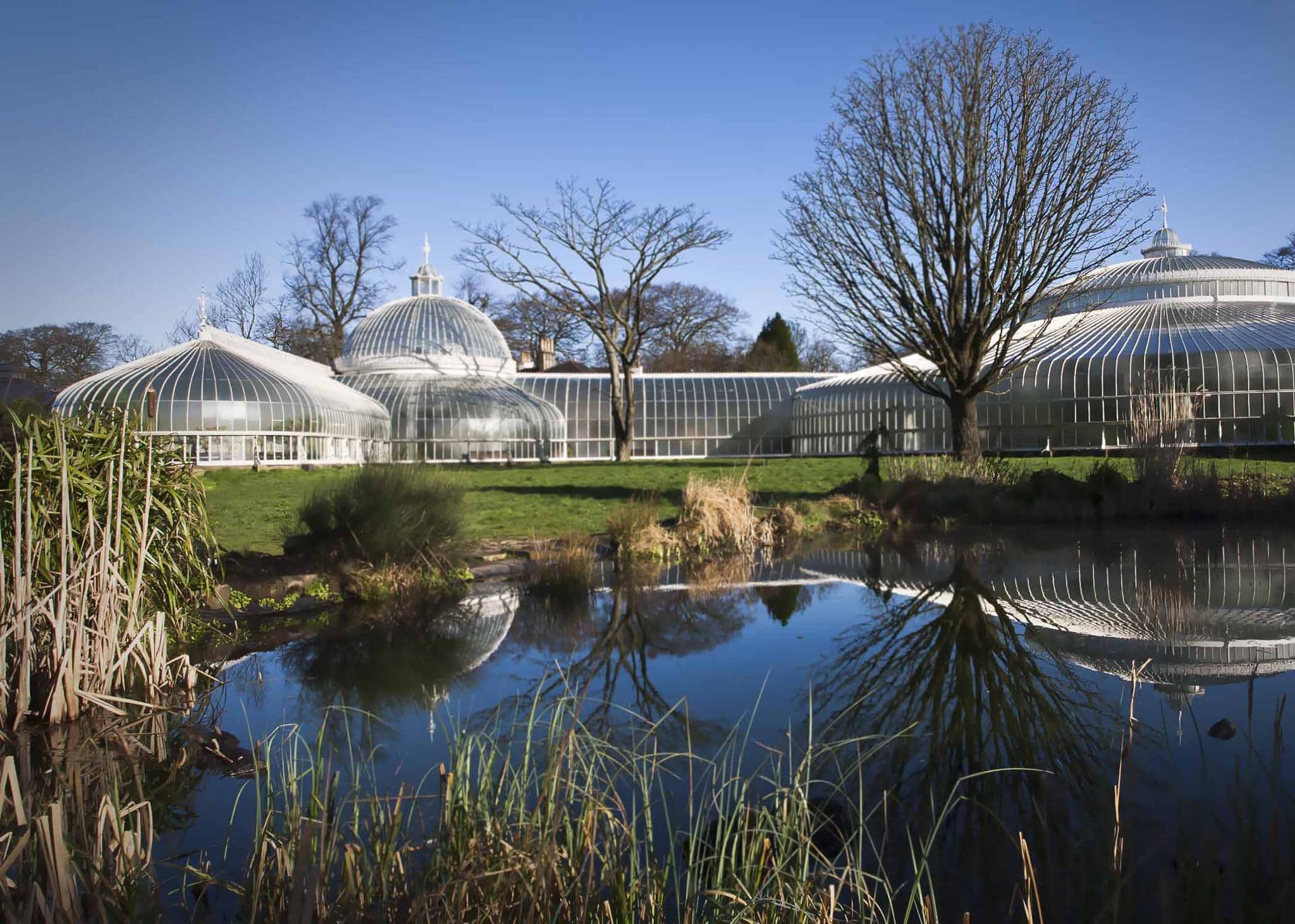 Glasgow Botanic Gardens