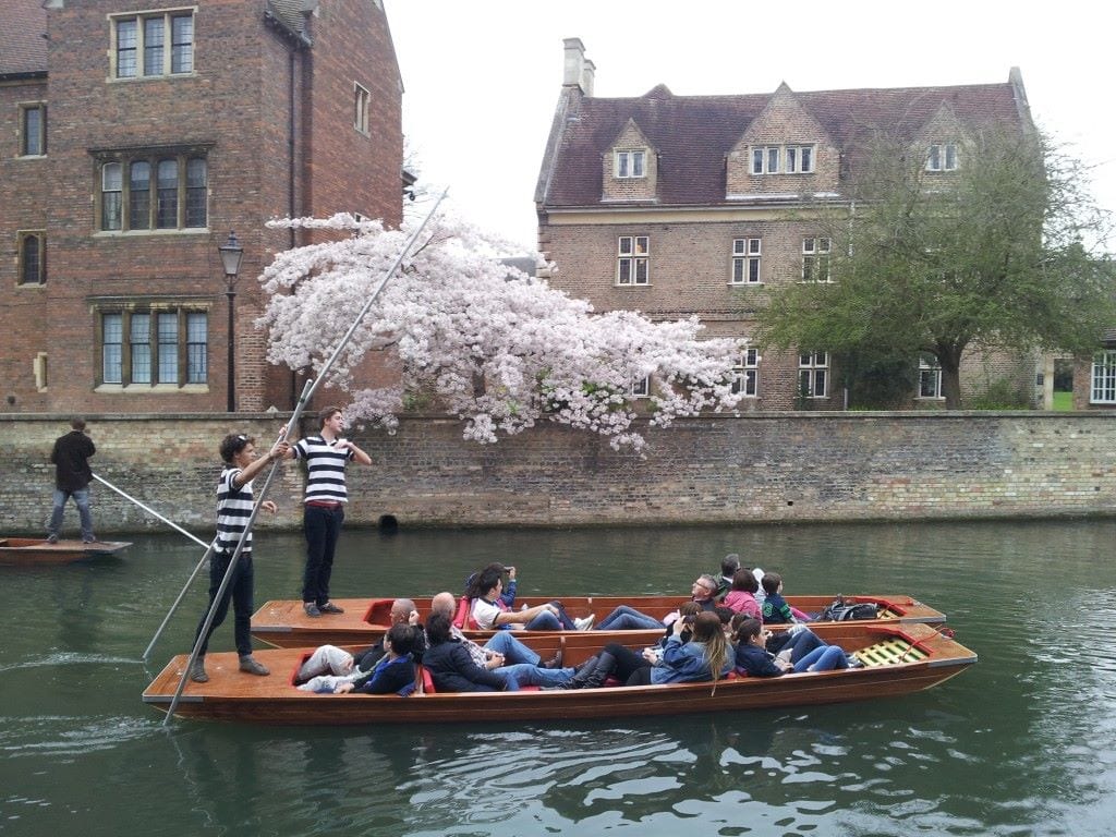 Cambridge Punt Company