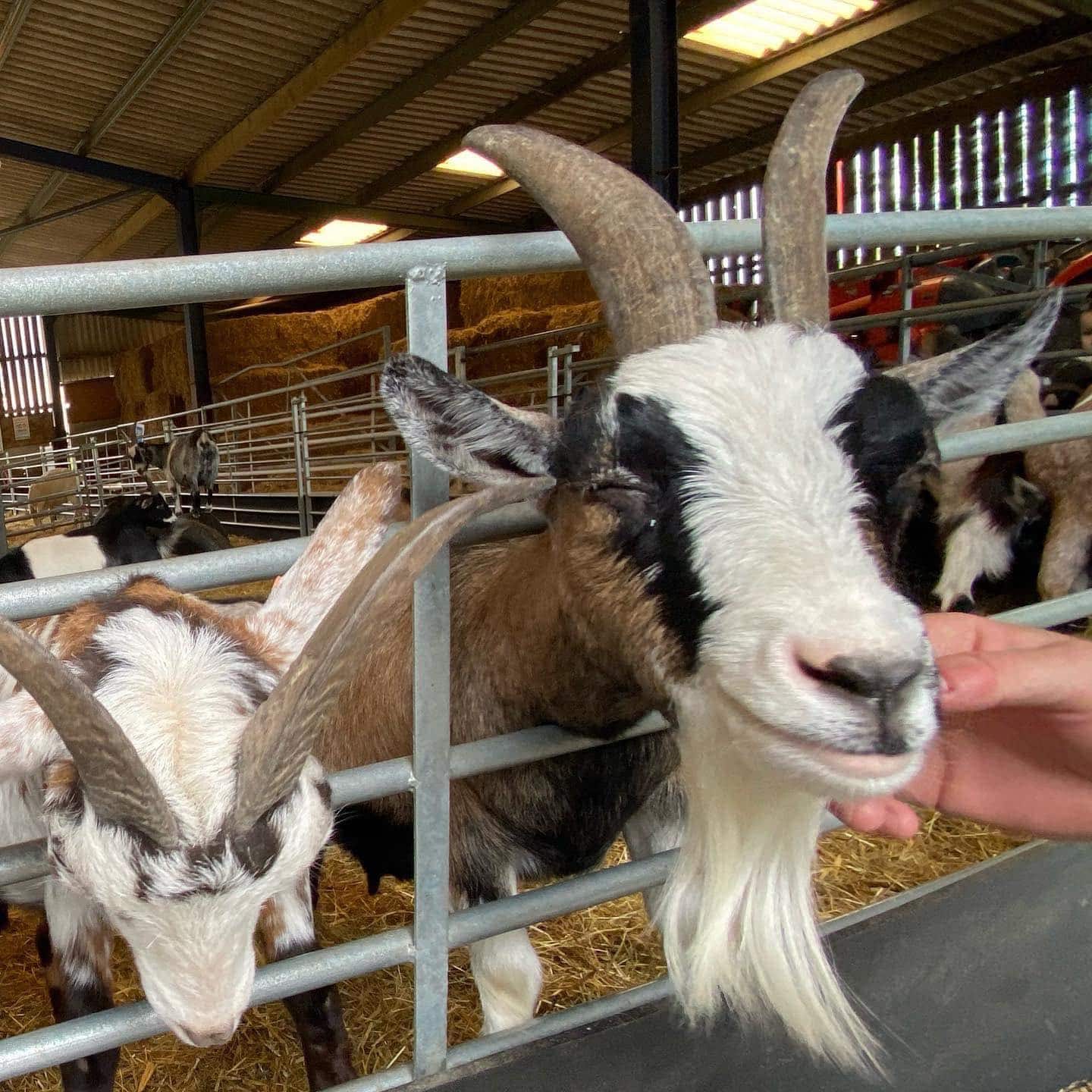 Thrift Farm Rural Centre