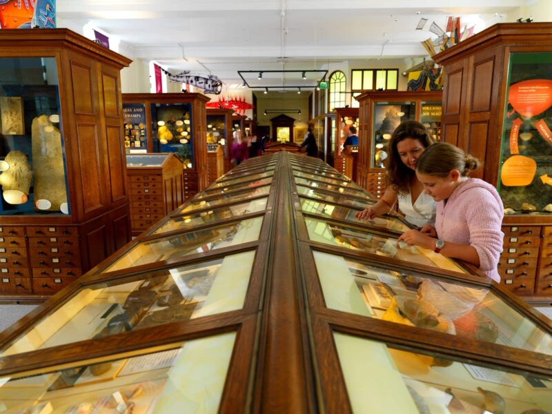 Sedgwick Museum of Earth Sciences