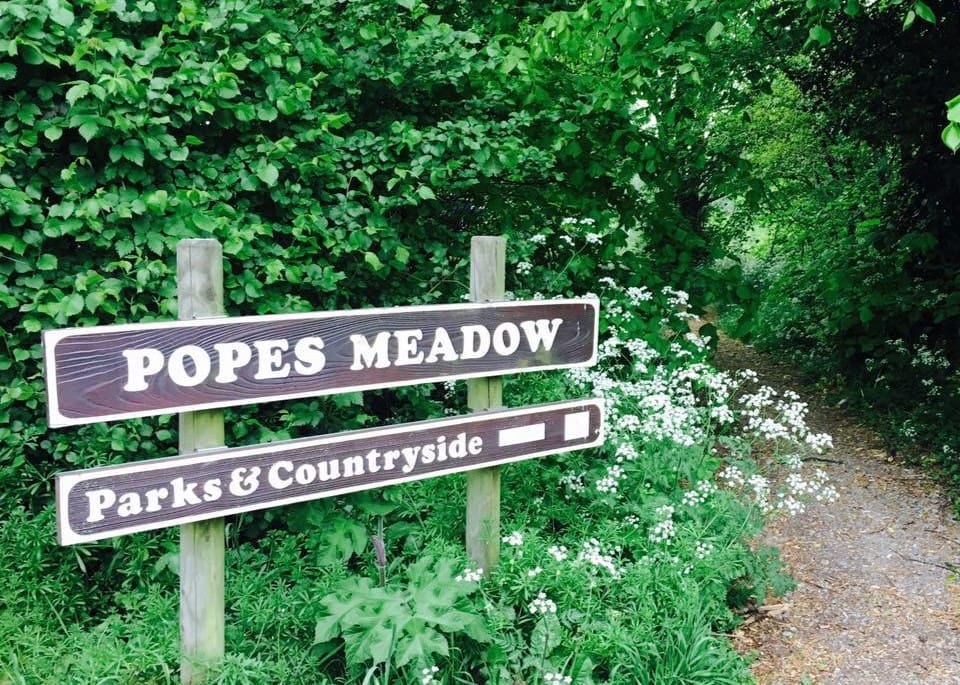 Popes Meadow