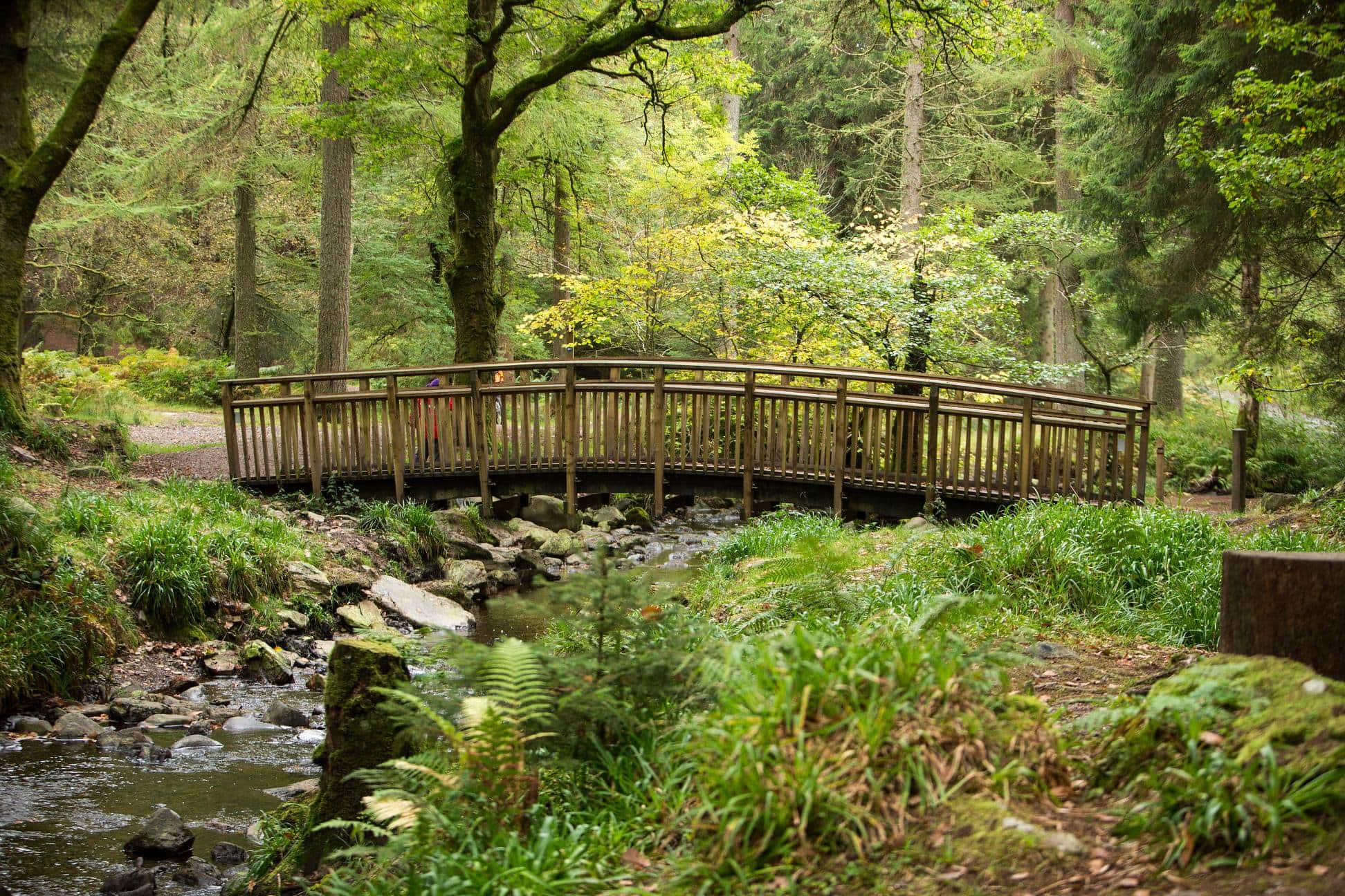 The Lodge Forest Visitor Centre