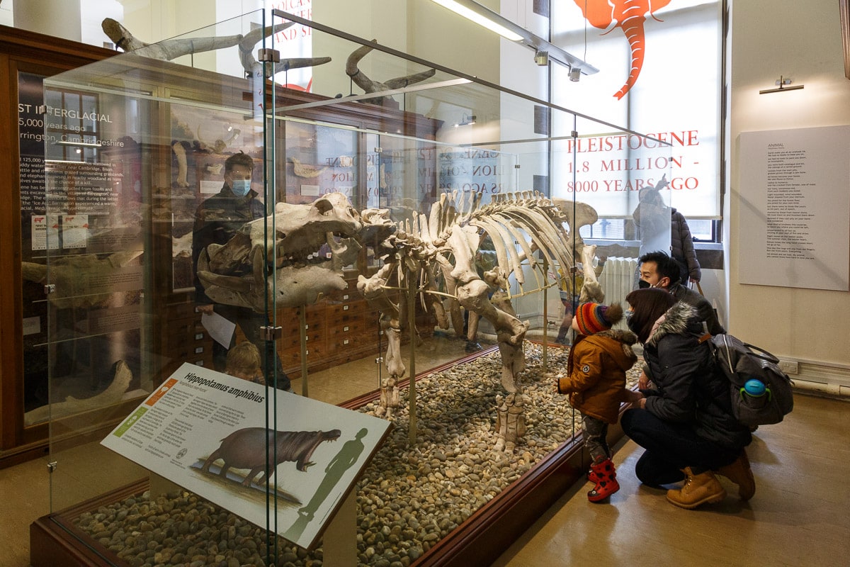 Sedgwick museum of Earth Sciences