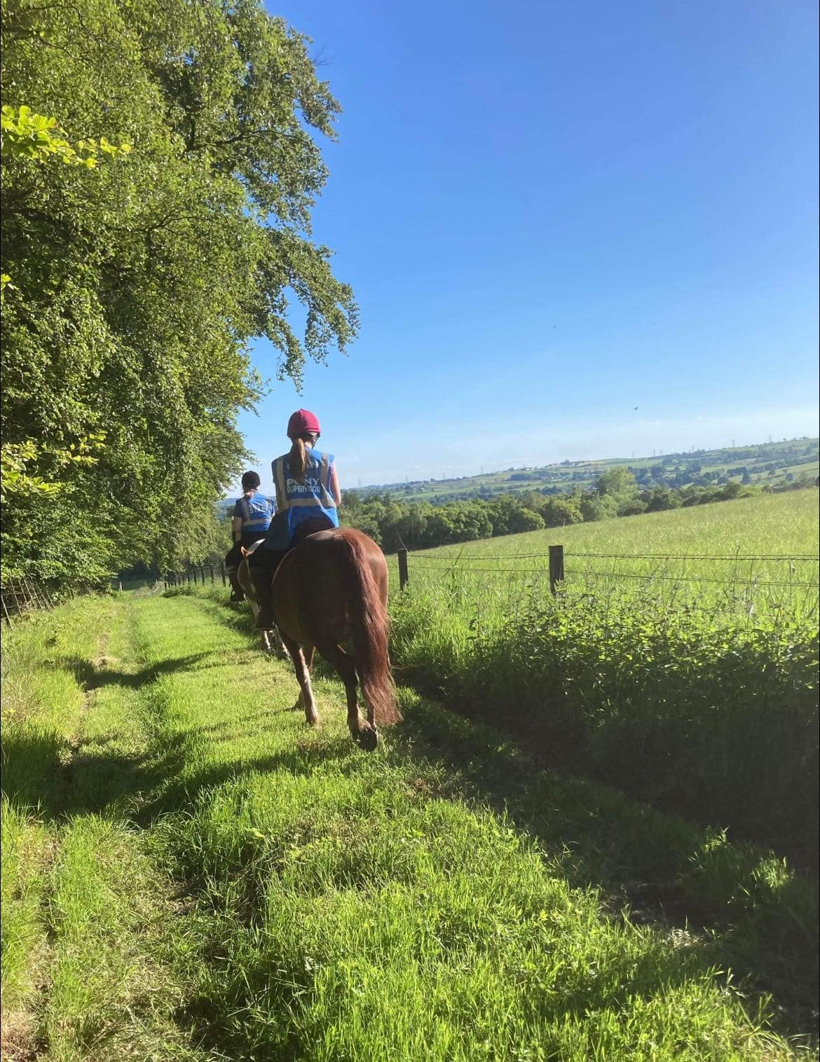 Wellsfield Equestrian Centre Where To Go With Kids Stirlingshire