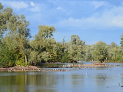 Paxton Pits Nature Reserve