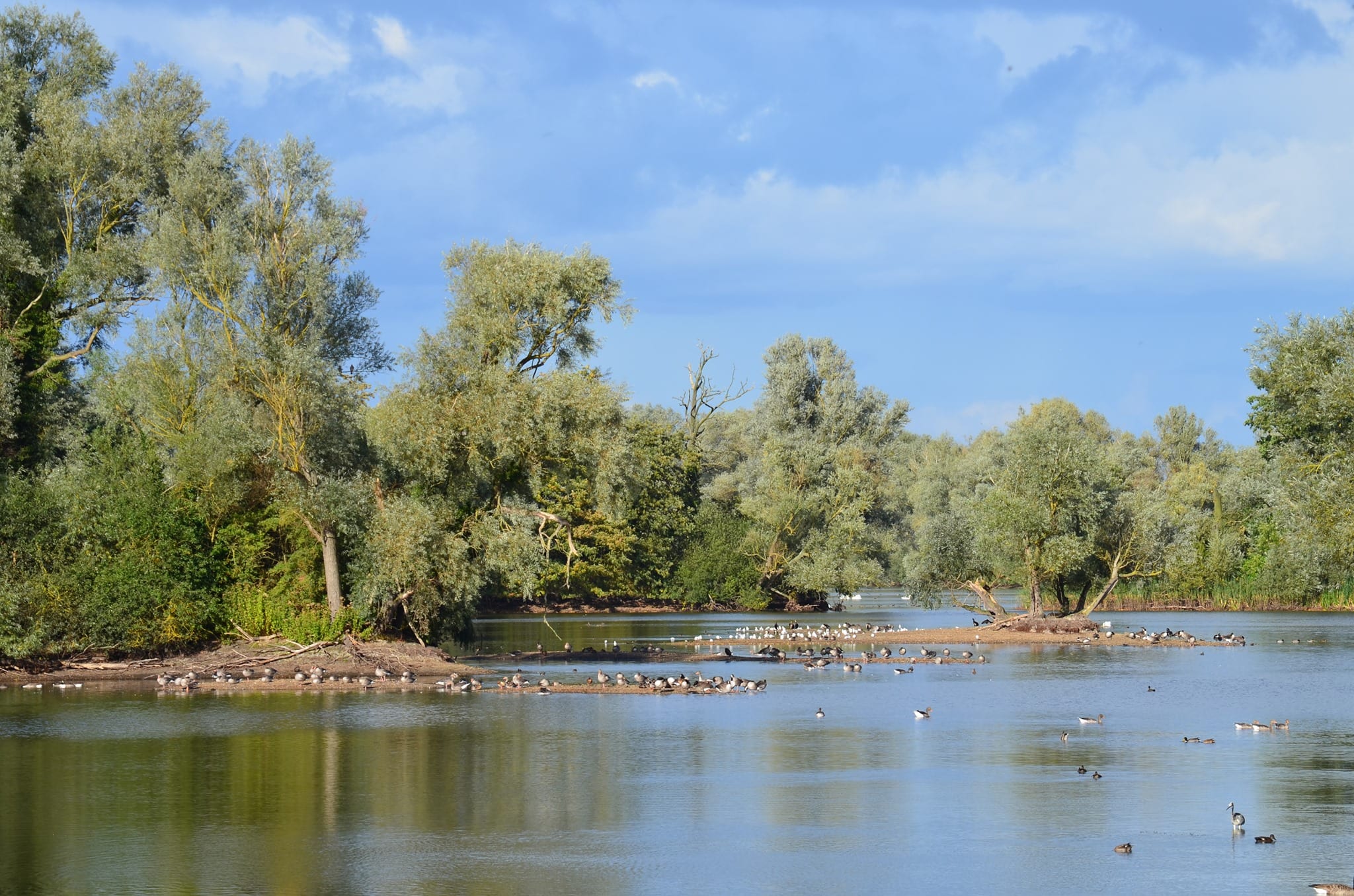 Paxton Pits Nature Reserve