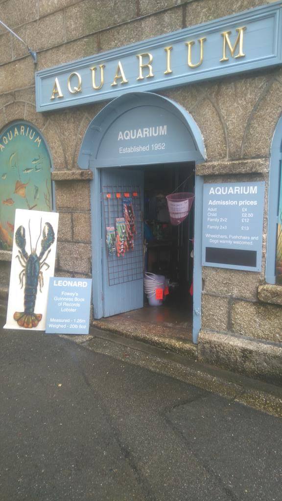 Fowey aquarium,