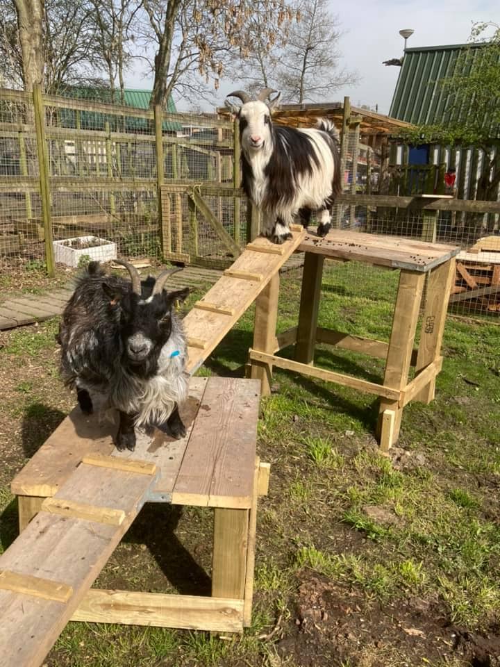 Blacon Adventure Playground