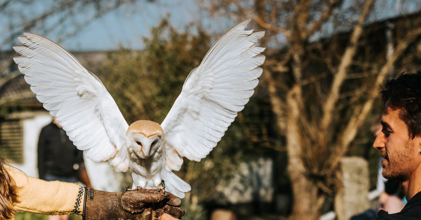 Feadon Wildlife and Education Centre