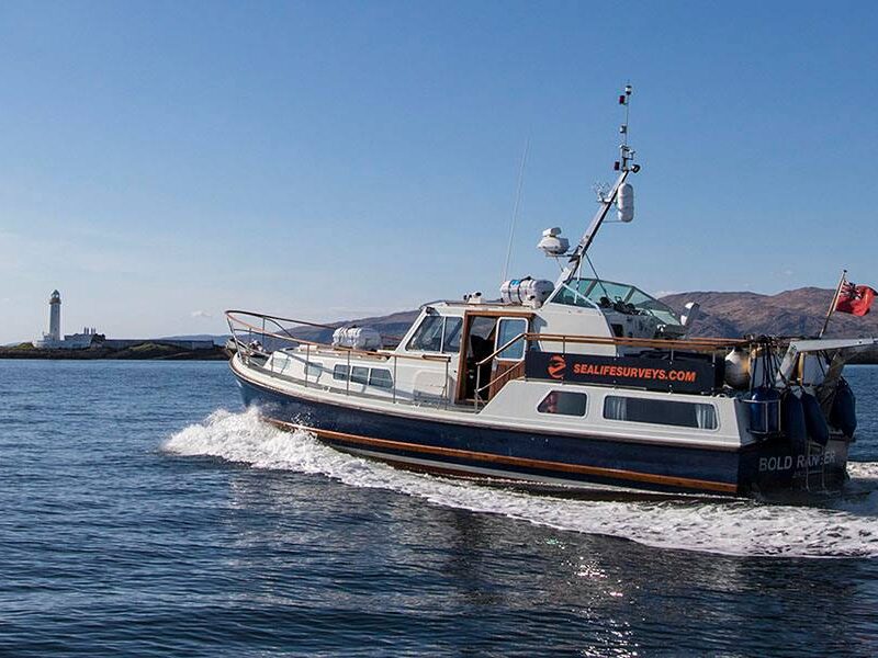 Sea Life Mull