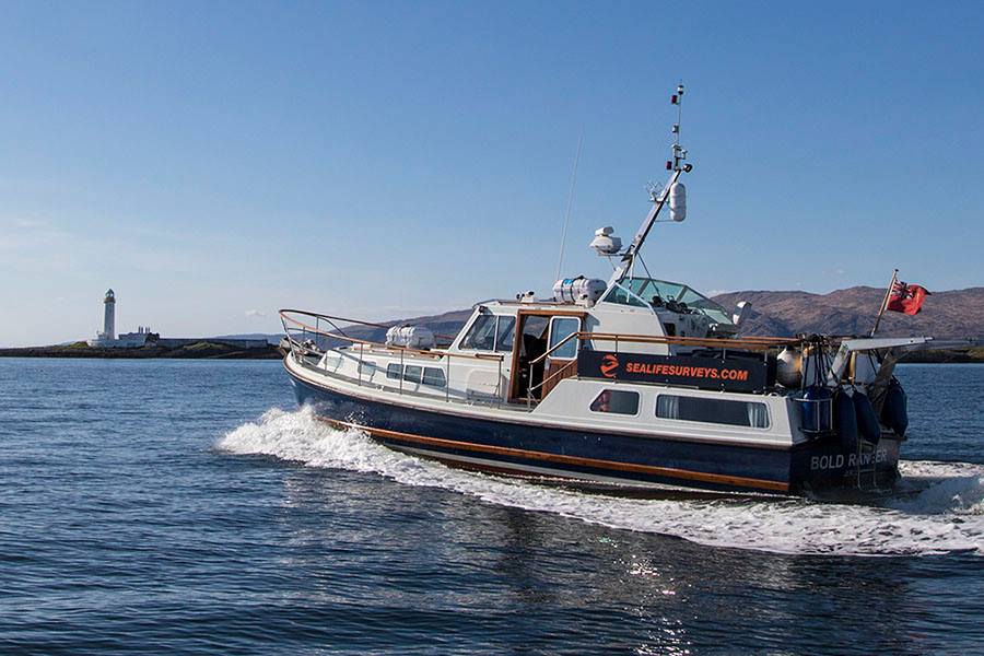 Sea Life Mull