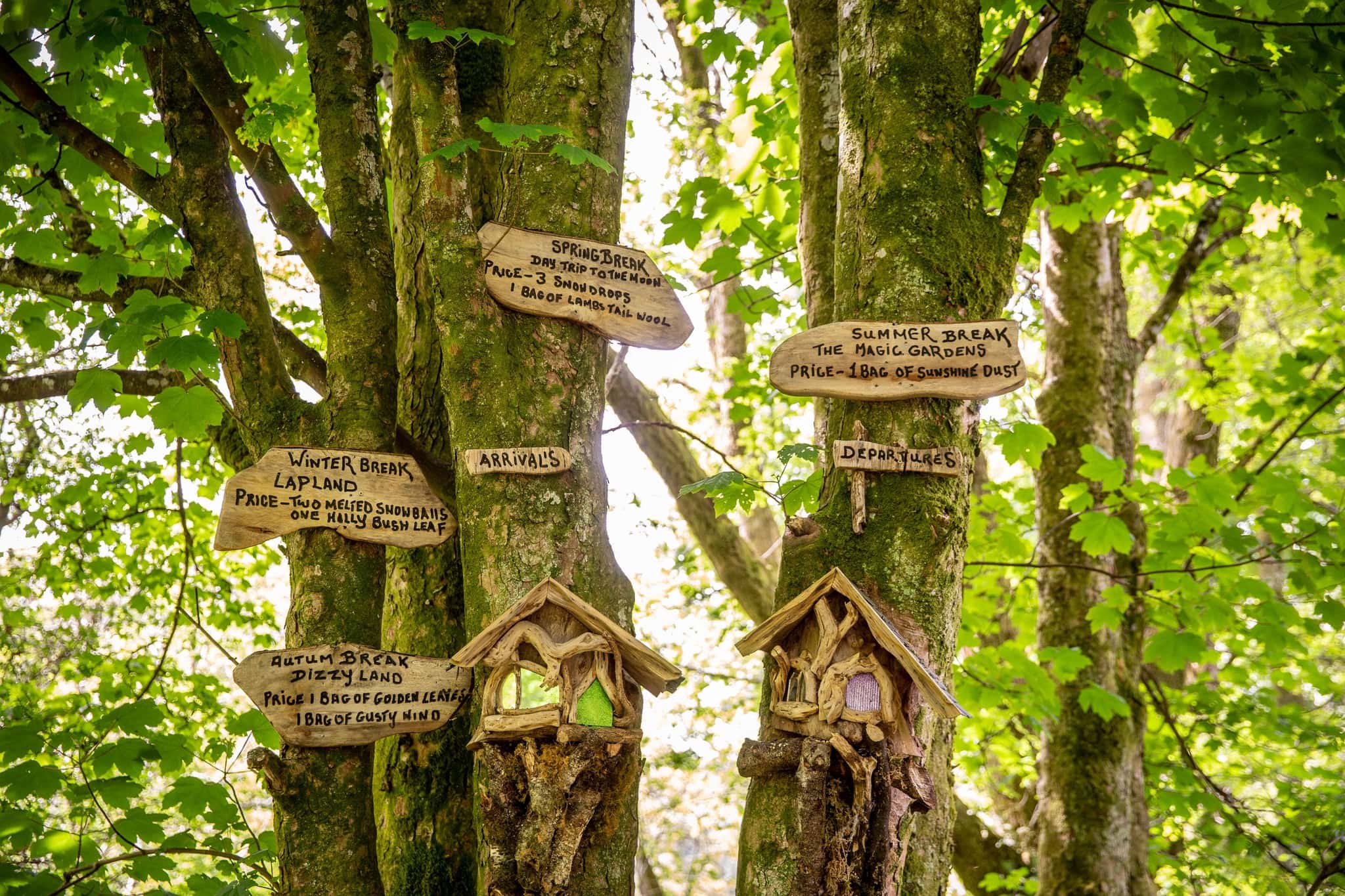 Loch Lomond Faerie Trail