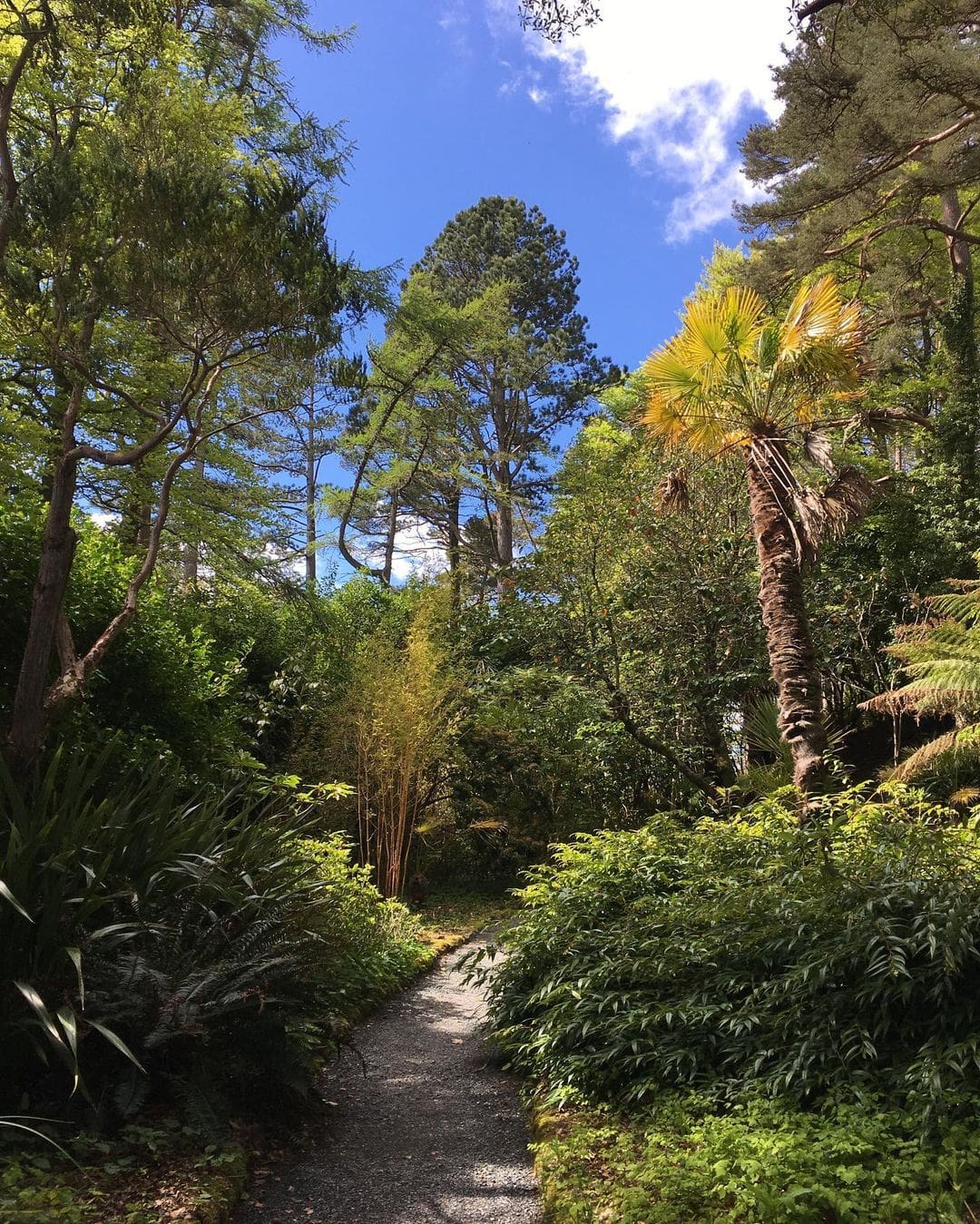 Inverewe Garden Estate