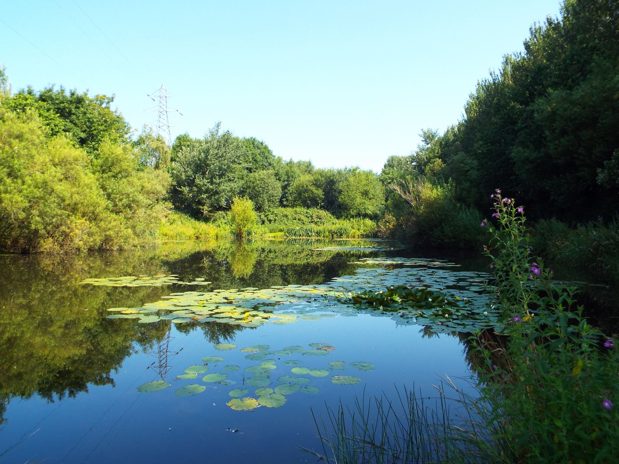 Fell End Nature Reserve