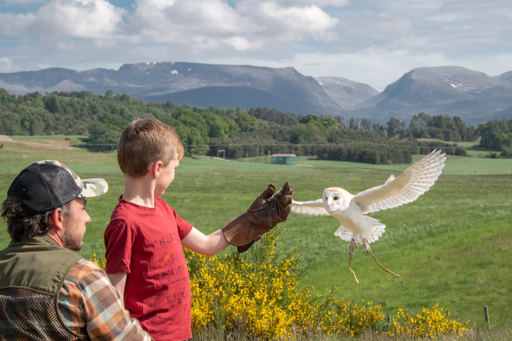 Rothiemurchus Estate