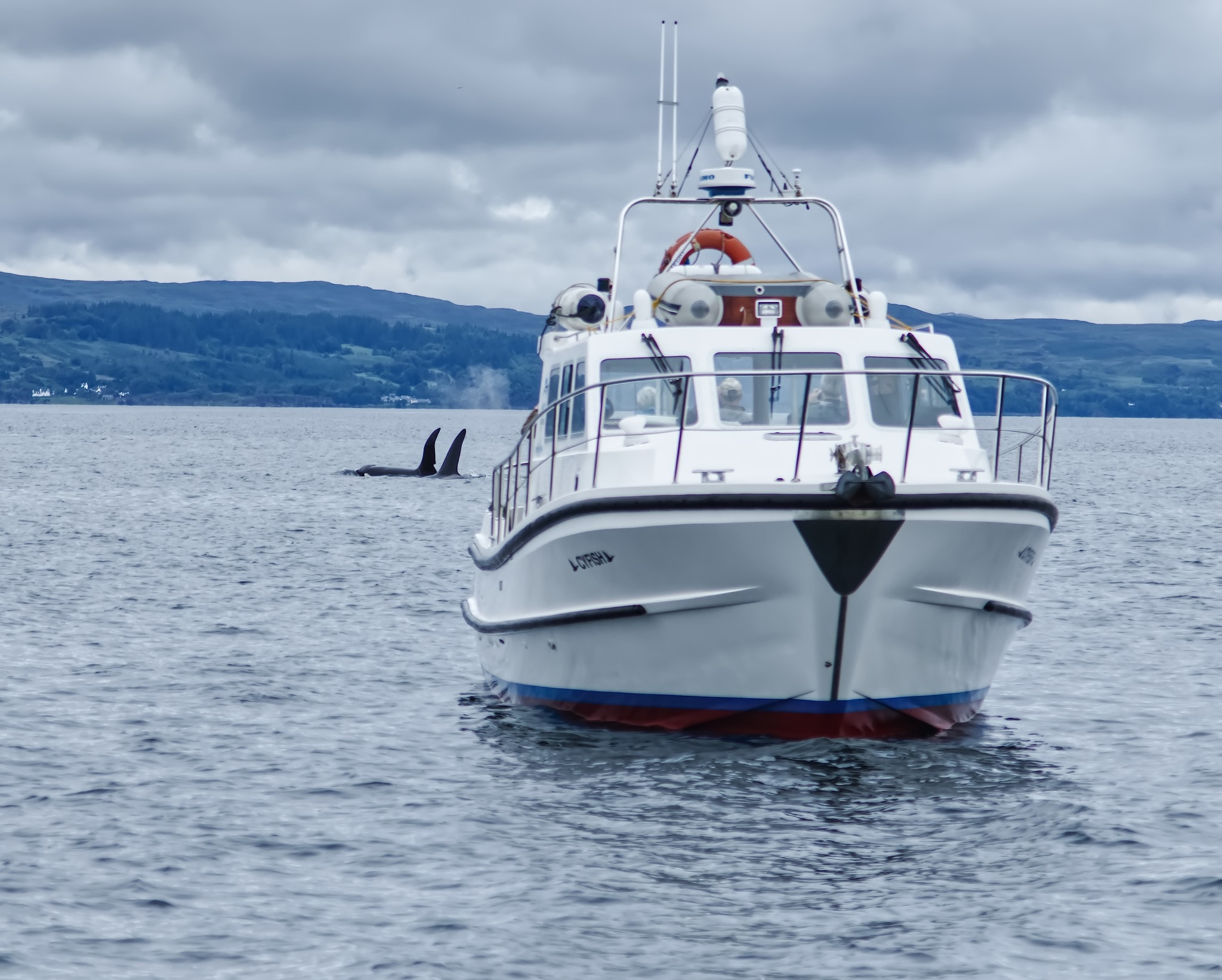 Western Isle Cruises