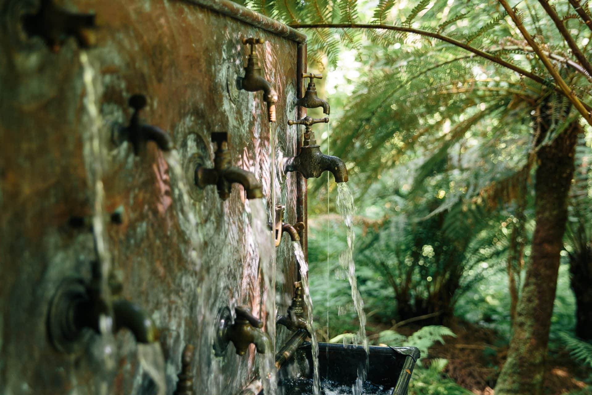 Tremenheere Sculpture Gardens