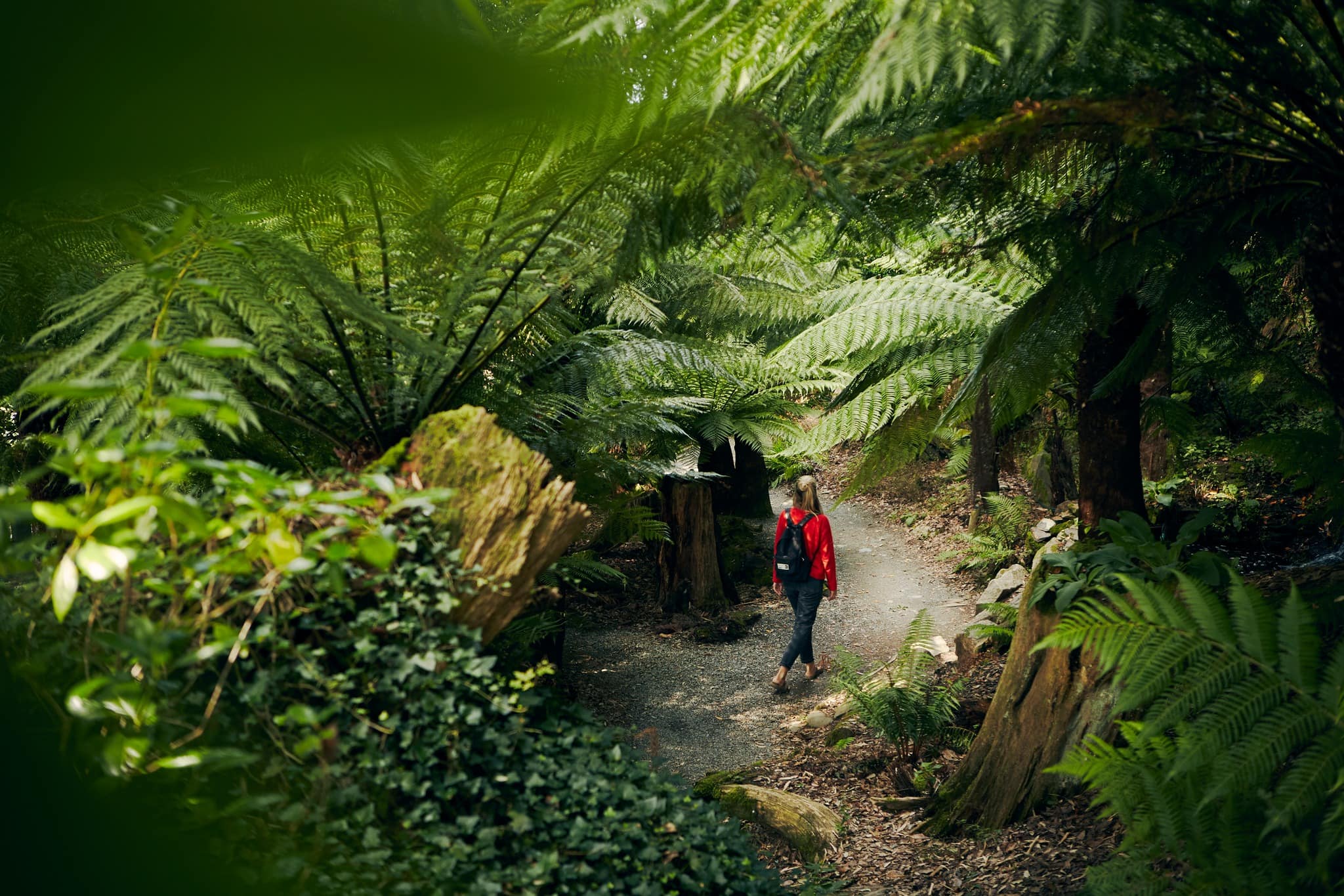 Trebah Garden